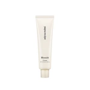 파파레서피 블레미쉬 크림 100ml