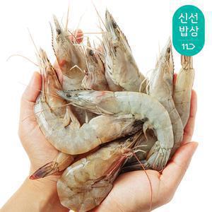 [품질보장] 더신선 국내산 활 새우 1kg 35-38미내외 / 시즌 첫 출하