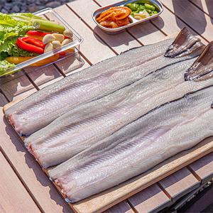 [더이득/2개이상1,000원할.인.] 심명진 민물장어 1kg 국산 자포니카 손질(손질 후 600