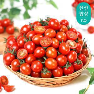 [농할13,920원+신한카드10%]후기굿! 장보남 탱글 대추방울토마토 5kg 실중량