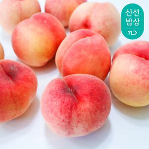 [품질보장] 고흥 명품 백도 딱딱이 복숭아 1.25kg(4-6과)