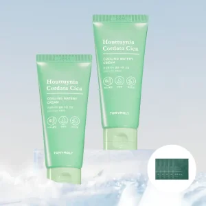 [2pack]어성초 시카 쿨링 수분크림 90ml (+어성초 마스크 5매입)
