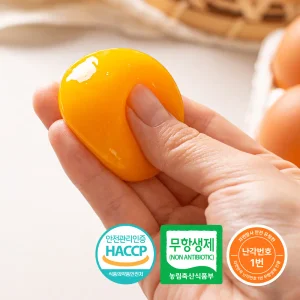 HACCP 자연방목 난각번호 1번 무항생제 인증 자연방사 안전 유정란 40구(대란)