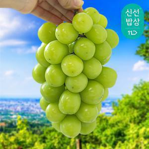 [혜택가 10,990원] 2025년 수확 하우스 샤인머스켓 1kg 2수 / 에어셀 포장
