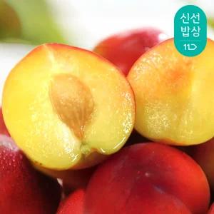 입안 가득 퍼지는 여름, 새콤달콤과즙 경북 자두 4.5kg (55g) 중소과