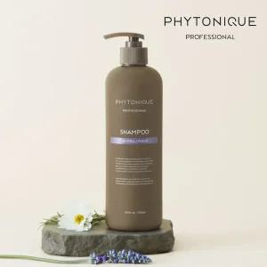 피토니끄 프로 리바이탈 두피케어 탈모샴푸 2종 (중건성/지성용) 500ml