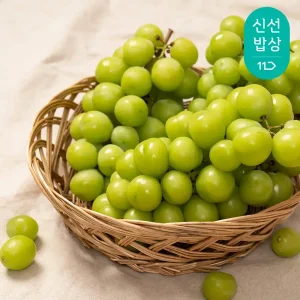 [품질보장] 2025년 첫 수확 샤인머스켓 프리미엄 일반 실속형