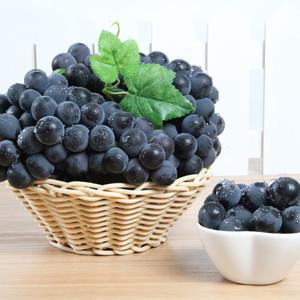 여름 포도(캠벨) 2kg 특품