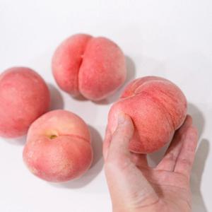 고당도 딱딱이 백도 복숭아 1kg/2kg 딱복 아삭 털복숭아 특품