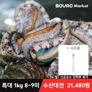 [바다마을] 완도 활 전복 특대 1kg 8-9미 산소포장(+세척 솔 증정)