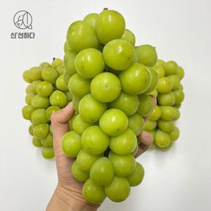 최종17880/달콤한 샤인머스캣 2kg 3-4송이 / 망고포도