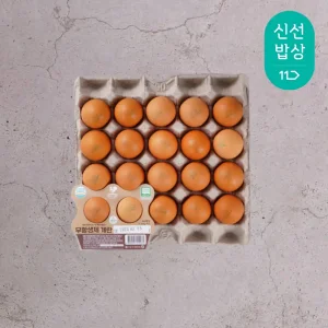 [품질보장] HACCP인증 신선란 대란 20/40/60구