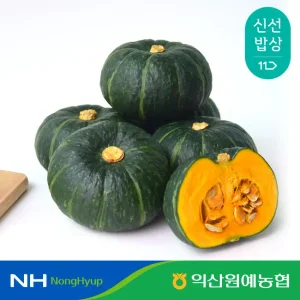 [농할 9,920원] 익산원예농협 포슬포슬 국내산 미니 밤호박 3kg (8~12입)