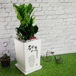 [캘리그라피 메세지화분] 행복하세요..'행복' 축하선물 생일 승진 영전 이사 감사 존경 선생님