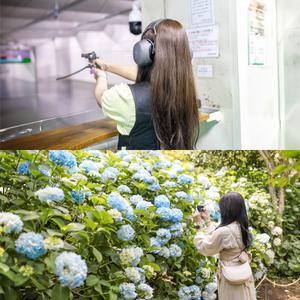 [제주] 제주실탄사격장+카멜리아힐 (가볼만한곳/관광/투어/자유여행/가족/친구/연인/아이와함께/테마파크/이색체험/브이패스/액티비티/레저/인생샷)