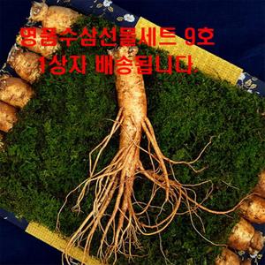 수삼 금산 고려 인삼 6년근 5년근 수삼 명절 선물세트 9호