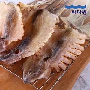 [바다원] 국내산 동해안 건오징어 10미(750g 내외)