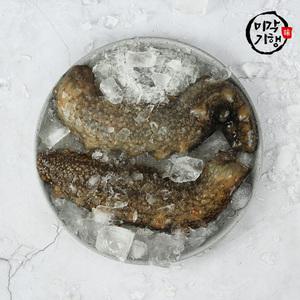 미각기행 통영 오도독 통 해삼 1kg(8~14미)