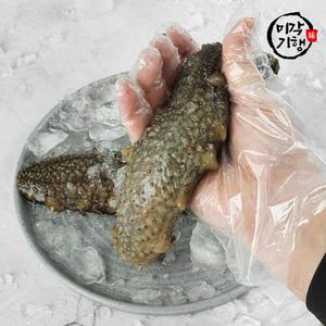 미각기행 통영 오도독 통 해삼 500g(4~7미)