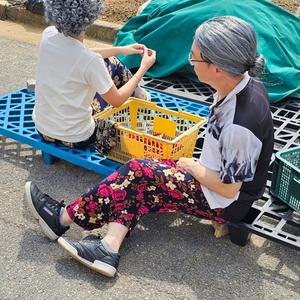 촌캉스 시골 아줌마 레트로 무늬 몸빼 바지 랜덤색상