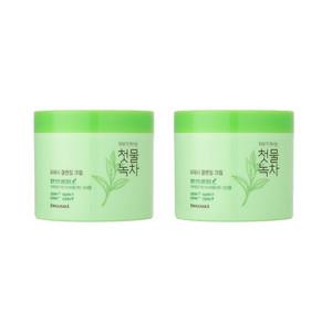 과일나라 첫물녹차 프레시 클렌징 크림 300g x 2개