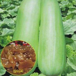 [셀러허브 1][HYD2J809_51CX]울외 오이참외 씨 씨앗 종자 품종 20립