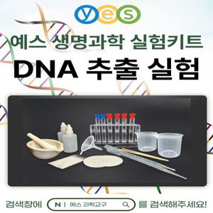 예스과학교구 생명과학실험 2인세트 DNA추출실험 키트 YES-D1 (식물)