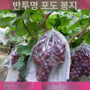 포도 봉지 샤인머스켓 반투명 해충 특수 비닐 포장
