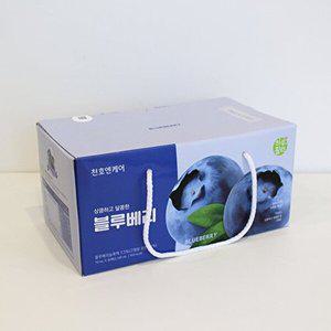 [천호엔케어][천호앤케어]하루활력 블루베리(70ml x 30팩) x 2Box