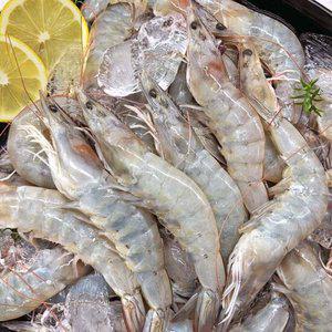 [은하수산] 국내산 활 새우 1kg (35-39미) 신안 산지직송