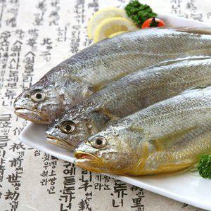 서귀포수협 제주 저염 참조기 700g/8미