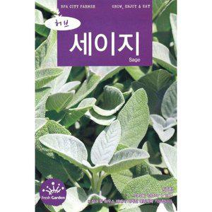 2025 씨앗 허브 세이지 (WFGUM15)