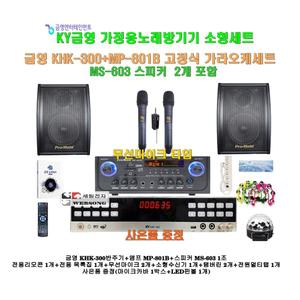 [금영가정용노래방기기 KHK-300+MP-801B세트11]앰프MP-801B+고급형 MS-603스피커+무선마이크/캠핑카-가정용