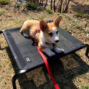 강아지 해먹 그물 침대 여름 메쉬 방석 BET45