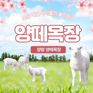[경기] 양평 양떼목장 (애견동반불가)
