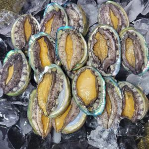 활 꼬마 전복 1kg (45-60미) / 1kg 30~40미(26g내외) 중 선택 가능 / 전복 버터구이