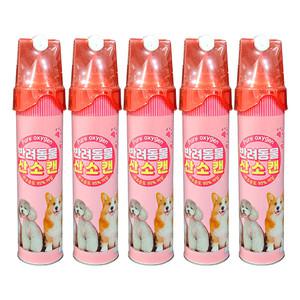 퓨어옥시젠 반려동물용 산소마스크 일체형 산소캔 대용량 816ml x 5캔 호흡기 강아지 수술 산책