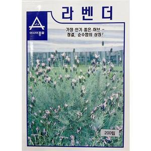 라벤다 라벤더 씨앗 인기좋은 허브 종자