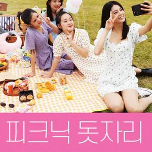 돗자리 감성 폴딩 한강돗자리 프리미엄 접이식 캠핑 나들이 방수 피크닉 매트