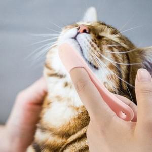 PET 고양이 턱드름 브러쉬 꼬드름 블랙헤드 관리 택1
