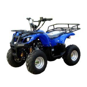 사륜오토바이 125cc ATV 사발이 짐칸 레저용 운반차 타이어 레저 농업