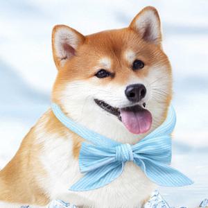 여름용 반려동물 쿨 스카프 강아지 고양이 아이스 시원한 산책용