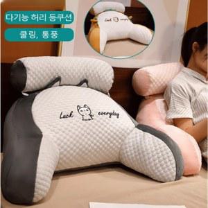 60 OFF 쿨링 아이스빈 대형 소프트 공룡 여름 아이스베개커버 날개 냉감 중형 쿠션