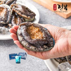 [신선특허] 내일받는 기삼전복 특대 1kg 9-11미 + 손질칼 / 일반포장