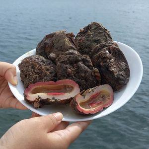 [자연맛남][물맛남] 횟감용 통영 돌멍게 1kg 6-10미