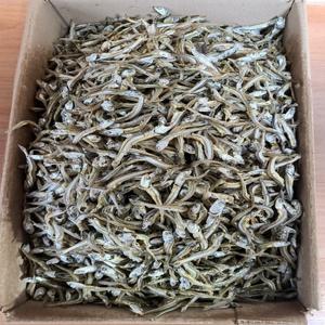 진성수산 최상급 남해안 고가이리 햇멸치 - (1.5kg)