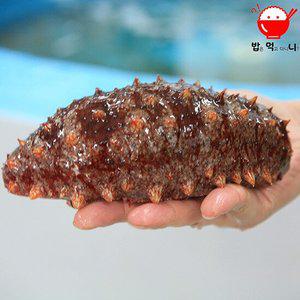 청정지역 울릉도 자연산 홍해삼 2kg (3~6마리) 산지직송!
