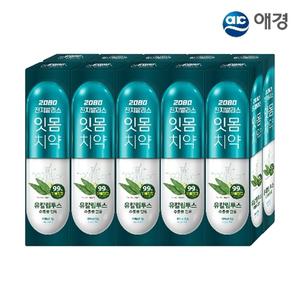 2080 진지발리스 유칼립투스 치약 150g 10개입 (후레쉬민트/스트롱민트 택1)