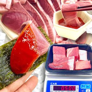  제철 자연산 대방어 필렛 썰어먹는 소 방어 회 부시리 500g