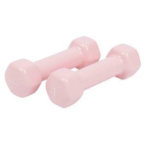 아이워너 뷰티 육각 덤벨 1kg (2개입 1세트) 근력운동 아령 홈트 헬스